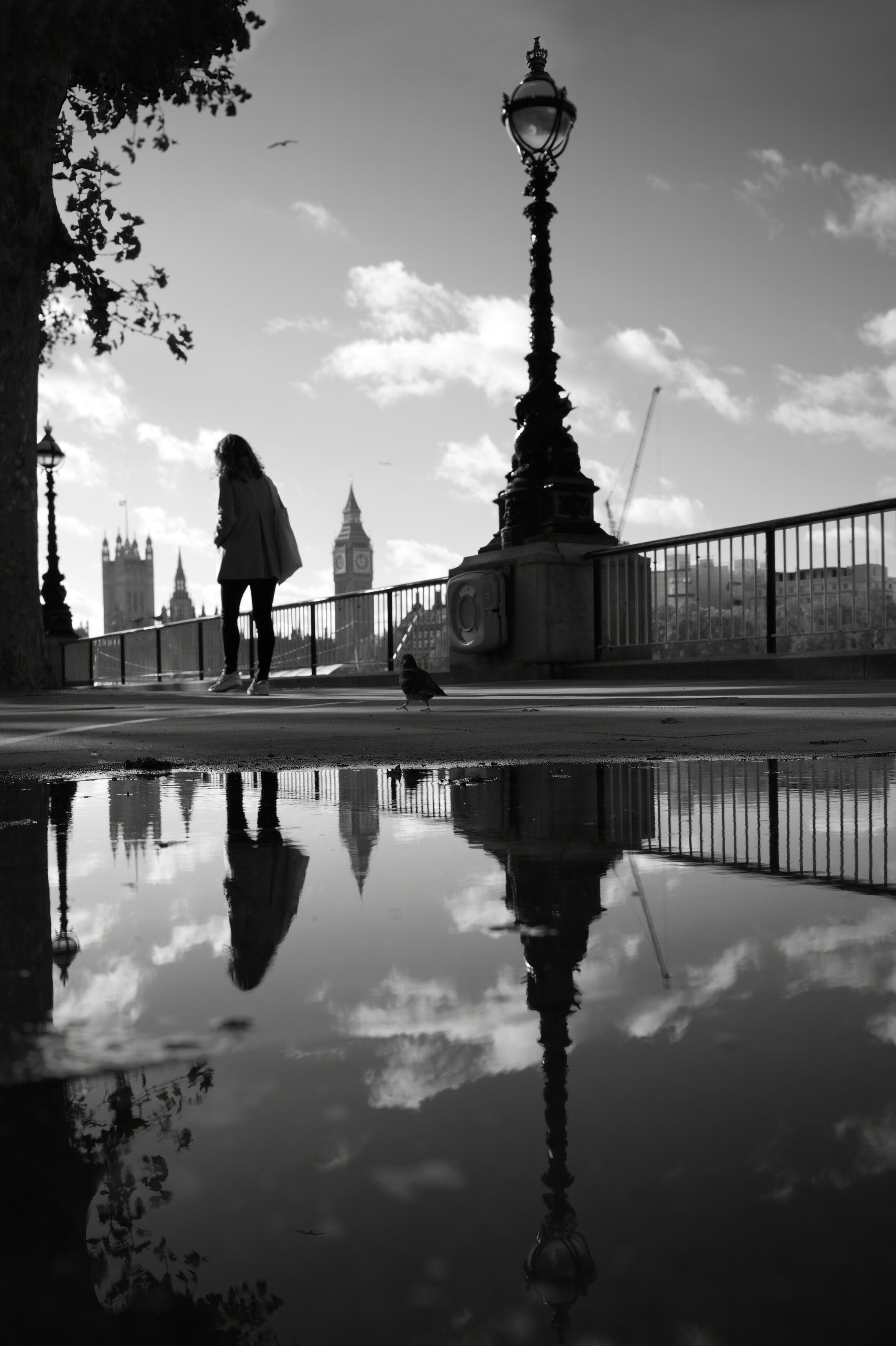 Platea quisque sagittis purus Platea quisque sagittis purus